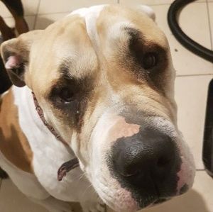 Meet your Posher, Melanie